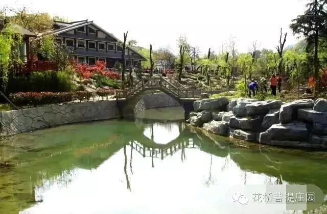 這個(gè)周末，隴南康縣花橋有大事要發(fā)生？