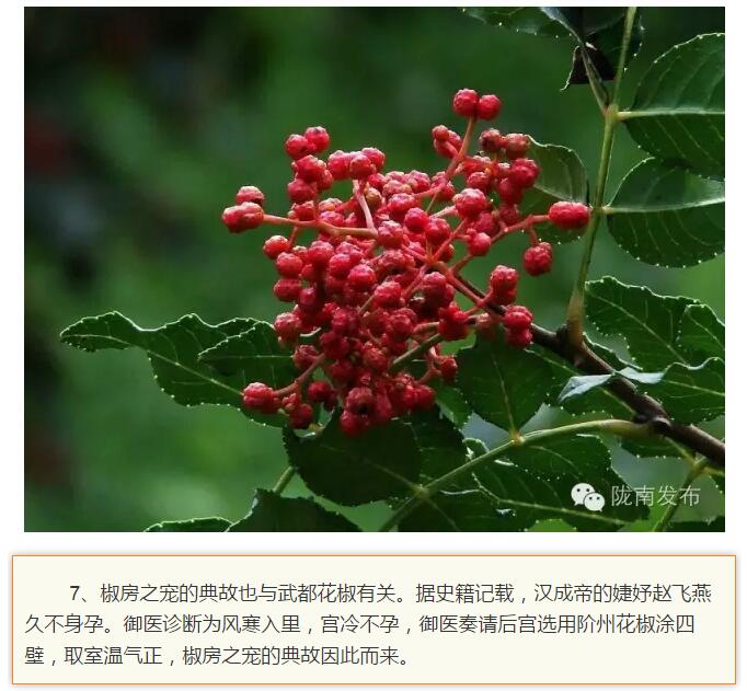 蘭渝鐵路最早由孫中山先生提出？在隴南，你不知道的事兒還有……