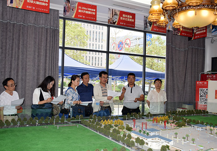 省、市聯(lián)合工作組蒞臨階州廣場(chǎng)檢查指導工作
