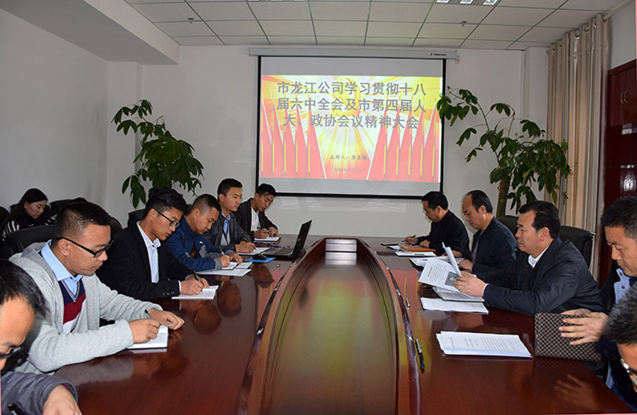 市龍江公司召開(kāi)全體員工大會(huì )，專(zhuān)題傳達學(xué)習上級會(huì )議精神