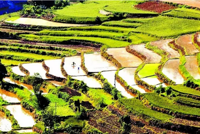 財政部　國務(wù)院扶貧辦發(fā)文進(jìn)一步推進(jìn)貧困縣統籌整合使用財政涉農資金工作
