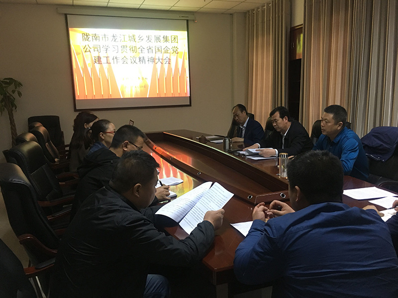 市龍江城鄉發(fā)展集團公司召開(kāi)全省 國有企業(yè)黨的建設工作會(huì )議精神學(xué)習會(huì )議
