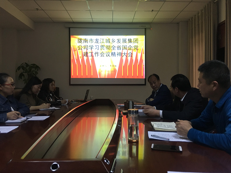 市龍江城鄉發(fā)展集團公司召開(kāi)全省 國有企業(yè)黨的建設工作會(huì )議精神學(xué)習會(huì )議
