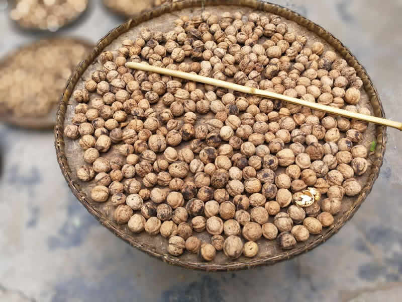 總經(jīng)理李錄順一行赴文縣橋頭鎮調研貧困區精準扶貧工作