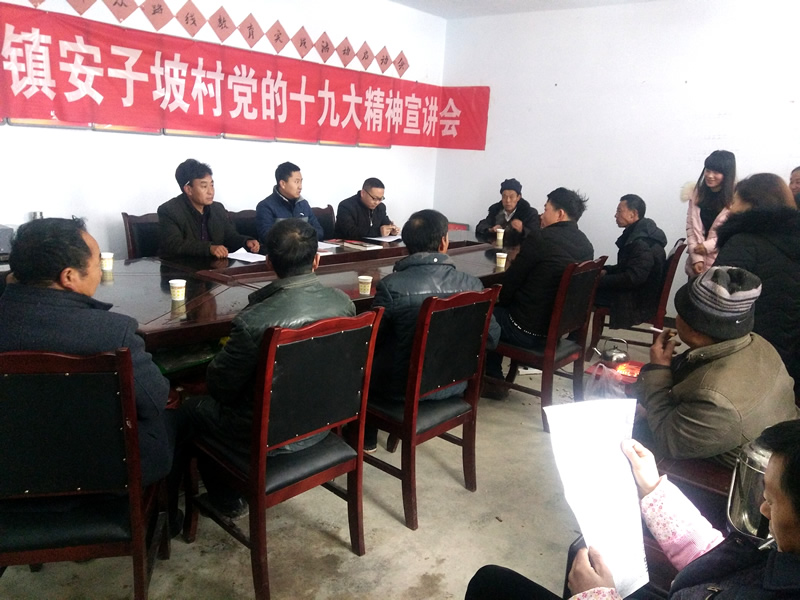 市龍江城鄉發(fā)展集團公司駐村幫扶隊在橋頭鎮安子坡村宣講黨的十九大精神