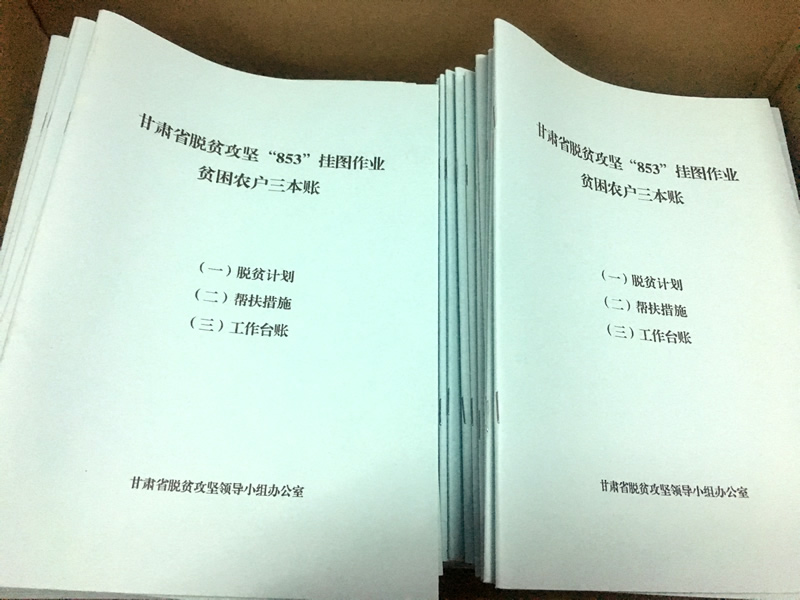 市龍江城鄉發(fā)展集團公司駐村幫扶隊在橋頭鎮安子坡村宣講黨的十九大精神