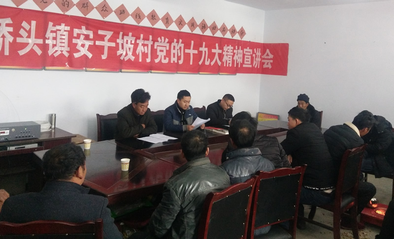 市龍江城鄉發(fā)展集團公司駐村幫扶隊在橋頭鎮安子坡村宣講黨的十九大精神
