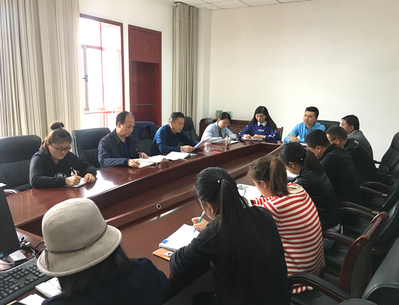 市龍江城鄉發(fā)展集團專(zhuān)題學(xué)習近期中央、省、市紀律檢查委員會(huì )議精神
