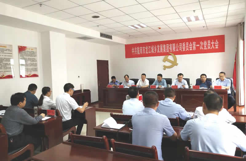中國共產(chǎn)黨隴南市龍江城鄉發(fā)展集團有限公司委員會(huì )第一次黨員大會(huì )勝利召開(kāi)