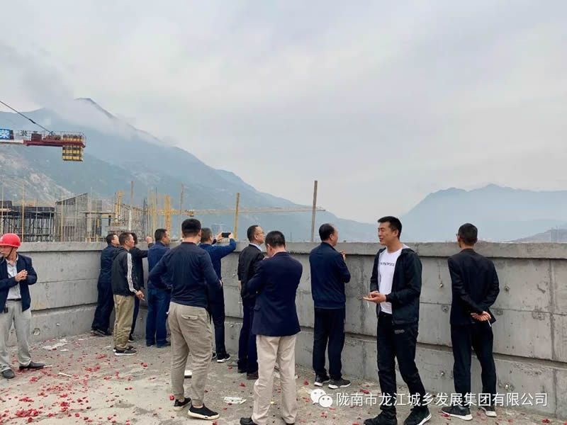 匠心傾注、喜封金頂——龍江?雙子座商住小區主體順利封頂