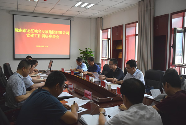隴南市委常委、組織部部長(cháng)楊郃調研指導市龍江城鄉發(fā)展集團公司黨建工作