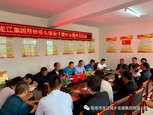 市龍江城鄉發(fā)展集團在橋頭鎮安子坡村積極開(kāi)展幫扶主題實(shí)踐活動(dòng)