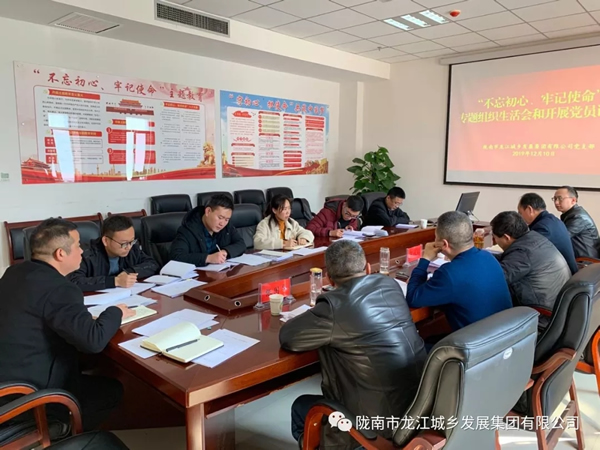 市龍江集團黨支部召開(kāi)“不忘初心、牢記使命”專(zhuān)題組織生活會(huì )和民主評議黨員會(huì )議