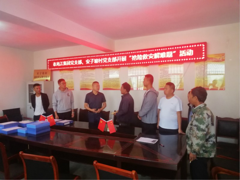 市龍江集團“搶險救災解難題” 主題黨日活動(dòng)