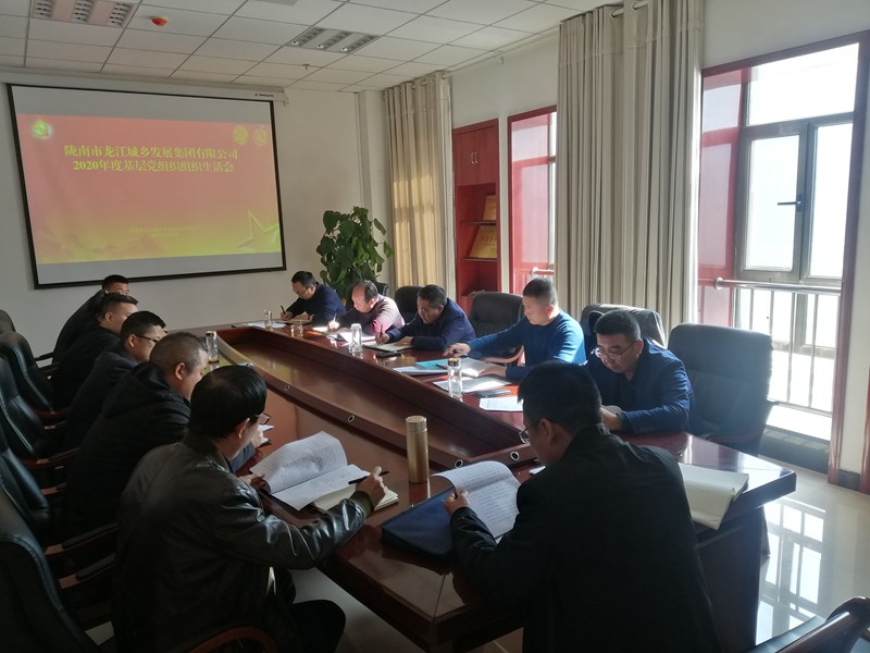 市龍江集團公司召開(kāi)2020年度黨員領(lǐng)導干部民主生活會(huì )