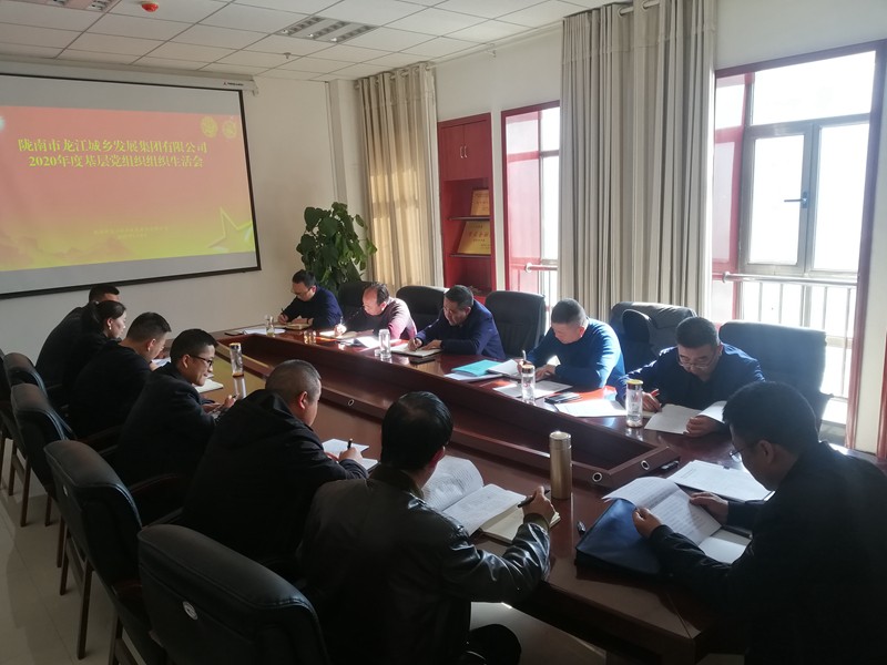 市龍江集團黨支部召開(kāi)基層黨組織組織生活會(huì )