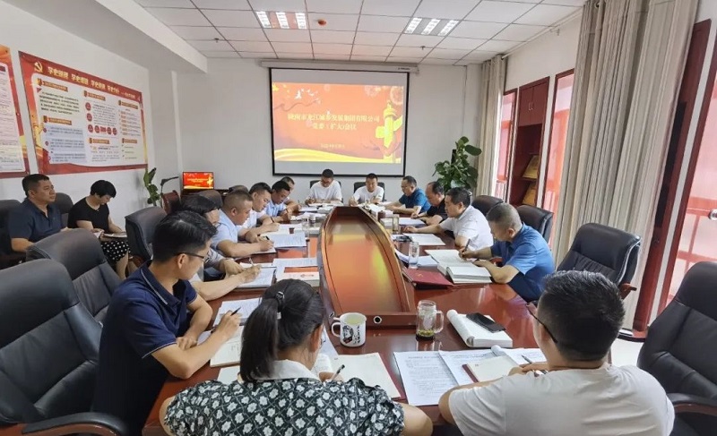 市龍江集團召開(kāi)黨委（擴大）會(huì )議