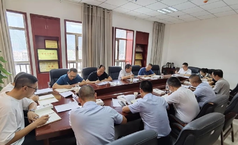 市龍江集團召開(kāi)黨委（擴大）會(huì )議
