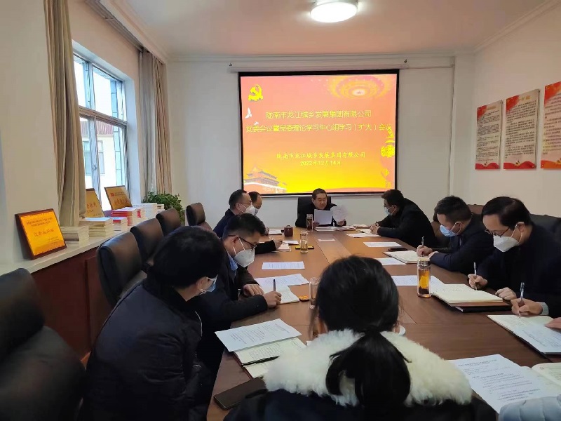市龍江集團召開(kāi)黨委理論學(xué)習中心組學(xué)習（擴大）會(huì )議