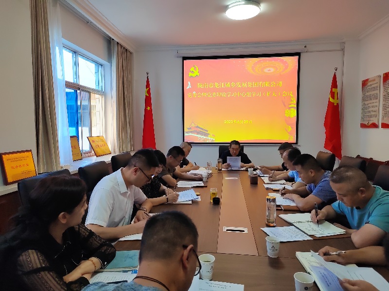 【“三抓三促”行動(dòng)進(jìn)行時(shí)】 市龍江城鄉集團有限公司召開(kāi)黨委理論學(xué)習暨三抓三促學(xué)習會(huì )議